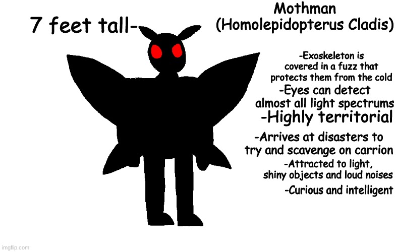 ooga booga | Mothman
(Homolepidopterus Cladis); 7 feet tall-; -Exoskeleton is covered in a fuzz that protects them from the cold; -Eyes can detect almost all light spectrums; -Highly territorial; -Arrives at disasters to try and scavenge on carrion; -Attracted to light, shiny objects and loud noises; -Curious and intelligent | made w/ Imgflip meme maker