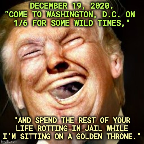 Trump invited them, then did nothing to help them. Loyalty only runs one way with him. | DECEMBER 19, 2020.
"COME TO WASHINGTON, D.C. ON 
1/6 FOR SOME WILD TIMES,"; "AND SPEND THE REST OF YOUR LIFE ROTTING IN JAIL WHILE I'M SITTING ON A GOLDEN THRONE." | image tagged in donald trump,invitation,sedition,insurrection,suckers | made w/ Imgflip meme maker
