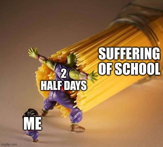 Yes! | SUFFERING OF SCHOOL; 2 HALF DAYS; ME | image tagged in dragon ball z pasta,high school,school | made w/ Imgflip meme maker