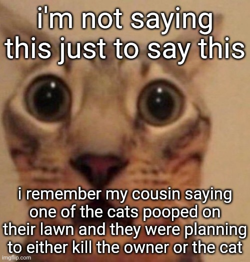 Shocked cat | i'm not saying this just to say this; i remember my cousin saying one of the cats pooped on their lawn and they were planning to either kill the owner or the cat | image tagged in shocked cat | made w/ Imgflip meme maker