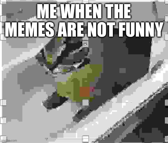 Guys, please | ME WHEN THE MEMES ARE NOT FUNNY | image tagged in very low quality floppa | made w/ Imgflip meme maker