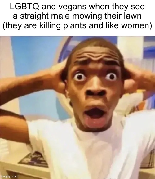 I’m going to try daily memes. Will only post one meme daily. Not sure if u care but imma do that from now on | LGBTQ and vegans when they see a straight male mowing their lawn (they are killing plants and like women) | image tagged in flight reacts,daily | made w/ Imgflip meme maker