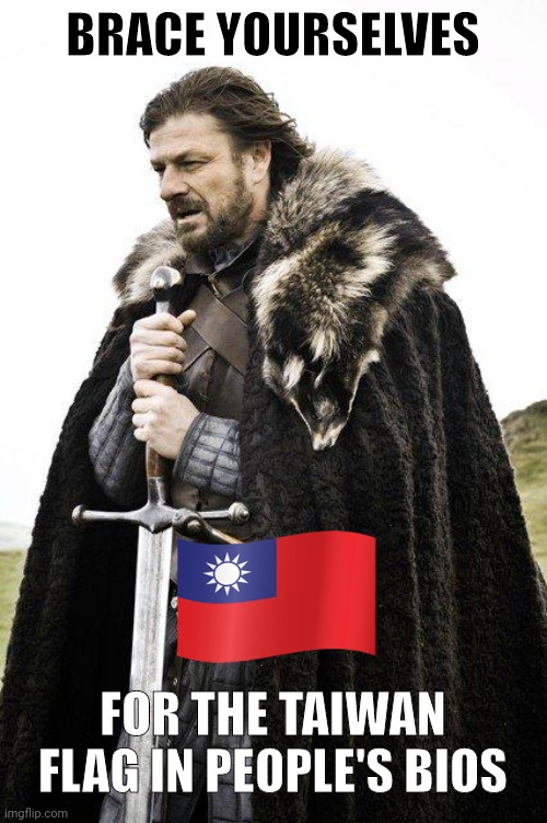 But they never have the American flag. You notice that? | BRACE YOURSELVES; FOR THE TAIWAN FLAG IN PEOPLE'S BIOS | image tagged in brace yourself | made w/ Imgflip meme maker