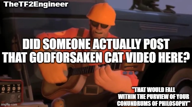 TheTF2Engineer | DID SOMEONE ACTUALLY POST THAT GODFORSAKEN CAT VIDEO HERE? | image tagged in thetf2engineer | made w/ Imgflip meme maker