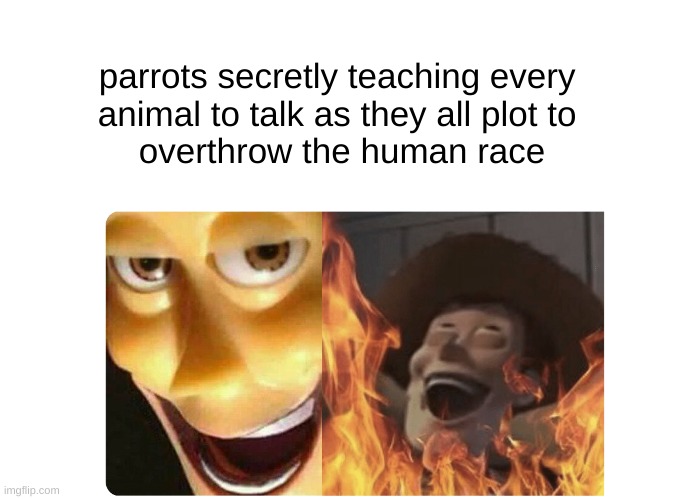 Satanic Woody | parrots secretly teaching every 
animal to talk as they all plot to 
overthrow the human race | image tagged in satanic woody | made w/ Imgflip meme maker