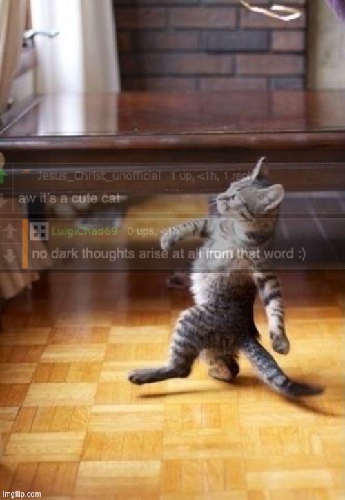 C A T | image tagged in memes,cool cat stroll | made w/ Imgflip meme maker