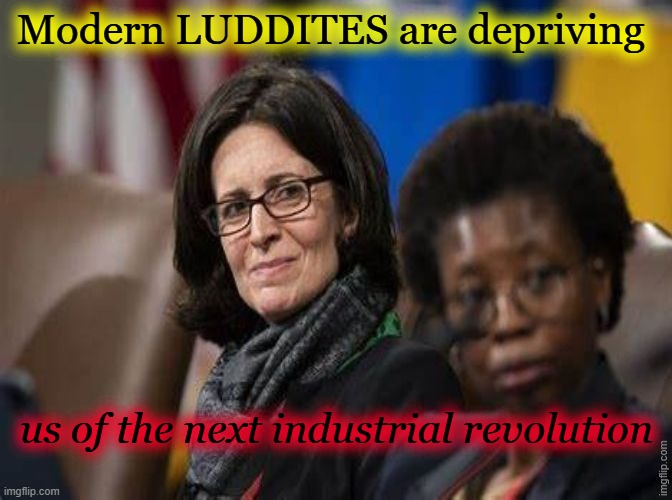 Modern LUDDITES are depriving; us of the next industrial revolution | made w/ Imgflip meme maker