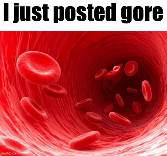 blood cells | I just posted gore | image tagged in blood cells | made w/ Imgflip meme maker