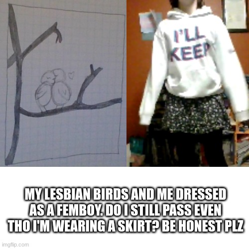 My lez birdies | MY LESBIAN BIRDS AND ME DRESSED AS A FEMBOY. DO I STILL PASS EVEN THO I'M WEARING A SKIRT? BE HONEST PLZ | image tagged in lgbtq,femboy,lesbian,birds,drawing | made w/ Imgflip meme maker