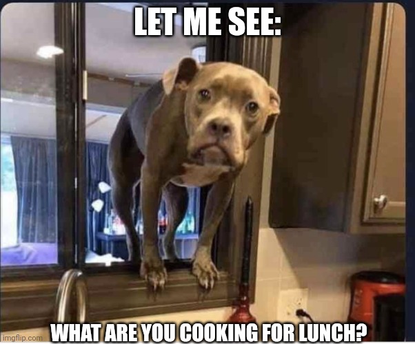 Bitch didn’t you hear me barking | LET ME SEE:; WHAT ARE YOU COOKING FOR LUNCH? | image tagged in bitch didn t you hear me barking | made w/ Imgflip meme maker