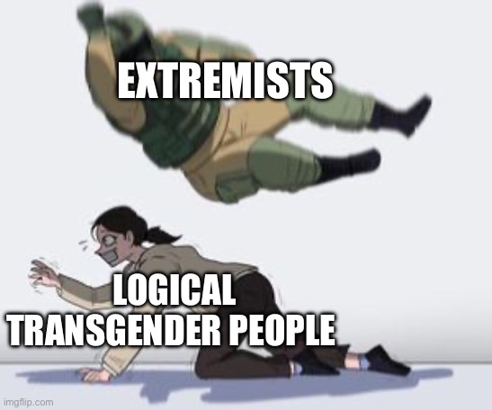 Normal conversation | EXTREMISTS; LOGICAL TRANSGENDER PEOPLE | image tagged in normal conversation | made w/ Imgflip meme maker