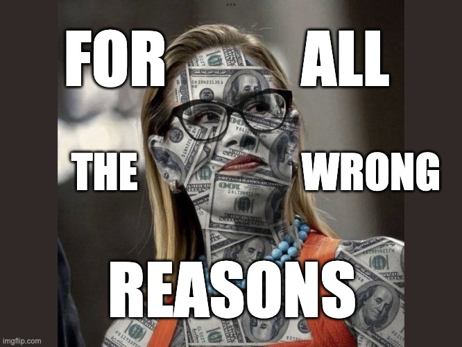 Krystin Sinema Sellout | FOR           ALL; THE                    WRONG; REASONS | image tagged in sellout,corruption,krystin sinema,bought and paid for,payoff | made w/ Imgflip meme maker