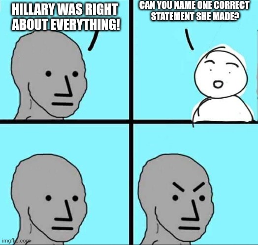 There's gotta be something | CAN YOU NAME ONE CORRECT 
STATEMENT SHE MADE? HILLARY WAS RIGHT 
ABOUT EVERYTHING! | image tagged in npc meme | made w/ Imgflip meme maker