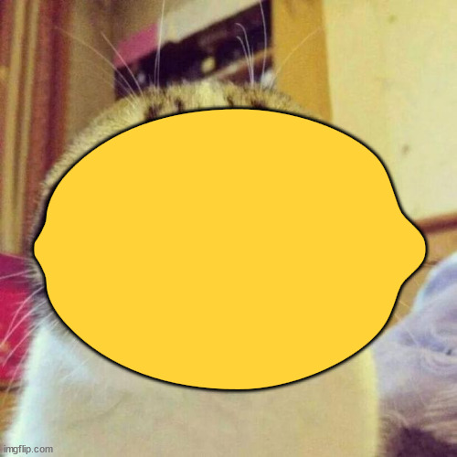 don't read description pls | 🍋; PLPLELS🍋💾⚠️ P HEMON🍋💾⚠️LS🍋💾⚠️ PLPLPLPLS🍋💾⚠️ 🍋💾⚠️ 🍋💾⚠️ P 🍋💾⚠️LP 🍋💾⚠️ HEMON🍋💾⚠️ PLS🍋💾⚠️LEMON🍋💾⚠️ HEMON🍋💾⚠️ 🍋💾⚠️LELELP HELEMON🍋💾⚠️LS🍋💾⚠️ PLPLELS🍋💾⚠️ P HEMON🍋💾⚠️LS🍋💾⚠️ PLPLPLPLS🍋💾⚠️ 🍋💾⚠️ 🍋💾⚠️ P 🍋💾⚠️LP 🍋💾⚠️ HEMON🍋💾⚠️ PLS🍋💾⚠️LEMON🍋💾⚠️ HEMON🍋💾⚠️ 🍋💾⚠️LELELP HELEMON🍋💾⚠️LS🍋💾⚠️ PLPLELS🍋💾⚠️ P HEMON🍋💾⚠️LS🍋💾⚠️ PLPLPLPLS🍋💾⚠️ 🍋💾⚠️ 🍋💾⚠️ P 🍋💾⚠️LP 🍋💾⚠️ HEMON🍋💾⚠️ PLS🍋💾⚠️LEMON🍋💾⚠️ HEMON🍋💾⚠️ 🍋💾⚠️LELELP HELEMON🍋💾⚠️LS🍋💾⚠️ PLPLPLEMON🍋💾⚠️ P HELEMON🍋💾⚠️ PLS🍋💾⚠️ P 🍋💾⚠️LPLS🍋💾⚠️ 🍋💾⚠️LPLELS🍋💾⚠️ 🍋💾⚠️ PLP HEMON🍋💾⚠️ P HELEMON🍋💾⚠️ HEMON🍋💾⚠️LP 🍋💾⚠️ PLS🍋💾⚠️ 🍋💾⚠️ HEMON🍋💾⚠️ 🍋💾⚠️LELS🍋💾⚠️ PLS🍋💾⚠️LP 🍋💾⚠️LS🍋💾⚠️ HEMON🍋💾⚠️ HELEMON🍋💾⚠️ PLELELP HELP HELPLS🍋💾⚠️ 🍋💾⚠️LS🍋💾⚠️LEMON🍋💾⚠️ P HEMON🍋💾⚠️LP 🍋💾⚠️LS🍋💾⚠️LEMON🍋💾⚠️LS🍋💾⚠️ PLELS🍋💾⚠️ 🍋💾⚠️ P 🍋💾⚠️ PLP HEMON🍋💾⚠️LS🍋💾⚠️ P HELS🍋💾⚠️ P 🍋💾⚠️LELS🍋💾⚠️ P 🍋💾⚠️ P 🍋💾⚠️LEMON🍋💾⚠️LELS🍋💾⚠️LELELEMON🍋💾⚠️ 🍋💾⚠️ HEMON🍋💾⚠️ PLP 🍋💾⚠️LS🍋💾⚠️ HEMON🍋💾⚠️ 🍋💾⚠️ P 🍋💾⚠️LPLEMON🍋💾⚠️ PLEMON🍋💾⚠️ P HELP 🍋💾⚠️LPLEMON🍋💾⚠️ PLS🍋💾⚠️LS🍋💾⚠️ PLPLS🍋💾⚠️ P 🍋💾⚠️ PLS🍋💾⚠️ P 🍋💾⚠️LS🍋💾⚠️ PLS🍋💾⚠️ HELELPLELP 🍋💾⚠️LS🍋💾⚠️LS🍋💾⚠️ 🍋💾⚠️ HELS🍋💾⚠️ PLP HEMON🍋💾⚠️ PLPLEMON🍋💾⚠️LS🍋💾⚠️ P HELEMON🍋💾⚠️ 🍋💾⚠️ PLP 🍋💾⚠️LS🍋💾⚠️ HELS🍋💾⚠️ PLELS🍋💾⚠️ HELS🍋💾⚠️ P 🍋💾⚠️LELELELS🍋💾⚠️ PLPLP 🍋💾⚠️LPLP HELEMON🍋💾⚠️ 🍋💾⚠️LS🍋💾⚠️LS🍋💾⚠️LS🍋💾⚠️ PLS🍋💾⚠️ HELS🍋💾⚠️ PLEMON🍋💾⚠️ PLP HELS🍋💾⚠️LPLP 🍋💾⚠️ HEMON🍋💾⚠️ PLS🍋💾⚠️LEMON🍋💾⚠️LEMON🍋💾⚠️ PLS🍋💾⚠️LS🍋💾⚠️LP 🍋💾⚠️LPLPLS🍋💾⚠️LPLPLELPLS🍋💾⚠️ 🍋💾⚠️ HEMON🍋💾⚠️LS🍋💾⚠️LS🍋💾⚠️ HELELPLP 🍋💾⚠️LS🍋💾⚠️ HEMON🍋💾⚠️LS🍋💾⚠️ 🍋💾⚠️LPLEMON🍋💾⚠️ HEMON🍋💾⚠️ 🍋💾⚠️ HELP HELEMON🍋💾⚠️LP 🍋💾⚠️LS🍋💾⚠️ 🍋💾⚠️ HEMON🍋💾⚠️ PLEMON🍋💾⚠️ P HEMON🍋💾⚠️ PLELEMON🍋💾⚠️LELPLP HEMON🍋💾⚠️ HEMON🍋💾⚠️ 🍋💾⚠️ 🍋💾⚠️ PLP 🍋💾⚠️ PLS🍋💾⚠️ 🍋💾⚠️ 🍋💾⚠️ PLEMON🍋💾⚠️ PLPLS🍋💾⚠️LP 🍋💾⚠️ P HELS🍋💾⚠️LEMON🍋💾⚠️ PLEMON🍋💾⚠️ PLS🍋💾⚠️LS🍋💾⚠️ PLPLS🍋💾⚠️ 🍋💾⚠️ PLPLS🍋💾⚠️ P HEMON🍋💾⚠️ HELELEMON🍋💾⚠️LELS🍋💾⚠️ PLS🍋💾⚠️ PLEMON🍋💾⚠️ HELEMON🍋💾⚠️LPLEMON🍋💾⚠️LS🍋💾⚠️ HELELP HEMON🍋💾⚠️ 🍋💾⚠️LELS🍋💾⚠️LPLEMON🍋💾⚠️LPLS🍋💾⚠️LS🍋💾⚠️ 🍋💾⚠️LELS🍋💾⚠️LS🍋💾⚠️LPLPLEMON🍋💾⚠️ HEMON🍋💾⚠️LPLP HEMON🍋💾⚠️ PLS🍋💾⚠️ PLP HELS🍋💾⚠️ P 🍋💾⚠️ P HEMON🍋💾⚠️ P HEMON🍋💾⚠️ P 🍋💾⚠️LP 🍋💾⚠️ P HEMON🍋💾⚠️LEMON🍋💾⚠️LPLP 🍋💾⚠️ HEMON🍋💾⚠️ 🍋💾⚠️ 🍋💾⚠️ PLP HEMON🍋💾⚠️ PLPLELS🍋💾⚠️ HELEMON🍋💾⚠️ HEMON🍋💾⚠️ PLEMON🍋💾⚠️LEMON🍋💾⚠️ P HEMON🍋💾⚠️ 🍋💾⚠️ PLP HEMON🍋💾⚠️LS🍋💾⚠️ P HEMON🍋💾⚠️LPLS🍋💾⚠️LP HELS🍋💾⚠️LPLS🍋💾⚠️ HEMON🍋💾⚠️LP 🍋💾⚠️ 🍋💾⚠️ HEMON🍋💾⚠️LP 🍋💾⚠️ P 🍋💾⚠️ PLS🍋💾⚠️ HEMON🍋💾⚠️LPLP HEMON🍋💾⚠️ PLS🍋💾⚠️ HELS🍋💾⚠️ HELS🍋💾⚠️LP HELEMON🍋💾⚠️ 🍋💾⚠️ HELEMON🍋💾⚠️LS🍋💾⚠️ 🍋💾⚠️ 🍋💾⚠️LP 🍋💾⚠️ P HELEMON🍋💾⚠️ PLEMON🍋💾⚠️ HEMON🍋💾⚠️LS🍋💾⚠️ 🍋💾⚠️ 🍋💾⚠️ PLS🍋💾⚠️ HELELS🍋💾⚠️LPLS🍋💾⚠️LEMON🍋💾⚠️LS🍋💾⚠️ 🍋💾⚠️ P HELS🍋💾⚠️ 🍋💾⚠️ 🍋💾⚠️LELP 🍋💾⚠️ HEMON🍋💾⚠️ PLPLS🍋💾⚠️ 🍋💾⚠️LELS🍋💾⚠️ 🍋💾⚠️LELS🍋💾⚠️ P 🍋💾⚠️ HEMON🍋💾⚠️LP 🍋💾⚠️ P 🍋💾⚠️ PLEMON🍋💾⚠️ P HEMON🍋💾⚠️ PLPLEMON🍋💾⚠️ P HELS🍋💾⚠️LP HELELS🍋💾⚠️ 🍋💾⚠️ HEMON🍋💾⚠️ 🍋💾⚠️ PLS🍋💾⚠️ HELELPLELS🍋💾⚠️ PLELELP HEMON🍋💾⚠️LS🍋💾⚠️ P 🍋💾⚠️ HEMON🍋💾⚠️LS🍋💾⚠️LEMON🍋💾⚠️ 🍋💾⚠️ P 🍋💾⚠️ PLS🍋💾⚠️LS🍋💾⚠️LS🍋💾⚠️ HELEMON🍋💾⚠️LELP HEMON🍋💾⚠️LS🍋💾⚠️ HEMON🍋💾⚠️LS🍋💾⚠️ PLPLELS🍋💾⚠️ HEMON🍋💾⚠️ PLEMON🍋💾⚠️ 🍋💾⚠️ HEMON🍋💾⚠️ 🍋💾⚠️ 🍋💾⚠️ HELEMON🍋💾⚠️ HEMON🍋💾⚠️ PLPLEMON🍋💾⚠️ P 🍋💾⚠️ PLEMON🍋💾⚠️ HEMON🍋💾⚠️LS🍋💾⚠️LEMON🍋💾⚠️ PLELP 🍋💾⚠️ 🍋💾⚠️ P 🍋💾⚠️ PLS🍋💾⚠️LEMON🍋💾⚠️LEMON🍋💾⚠️ PLS🍋💾⚠️ P HELEMON🍋💾⚠️ 🍋💾⚠️ 🍋💾⚠️LS🍋💾⚠️ PLS🍋💾⚠️ 🍋💾⚠️ 🍋💾⚠️LPLP 🍋💾⚠️ HEMON🍋💾⚠️ PLS🍋💾⚠️LEMON🍋💾⚠️ 🍋💾⚠️ PLEMON🍋💾⚠️ PLS🍋💾⚠️ PLS🍋💾⚠️ PLEMON🍋💾⚠️ PLEMON🍋💾⚠️LPLS🍋💾⚠️LPLP HELPLS🍋💾⚠️LEMON🍋💾⚠️ PLPLEMON🍋💾⚠️ 🍋💾⚠️ P 🍋💾⚠️LS🍋💾⚠️ PLEMON🍋💾⚠️LS🍋💾⚠️ 🍋💾⚠️ P 🍋💾⚠️LS🍋💾⚠️ P HEMON🍋💾⚠️LS🍋💾⚠️ P 🍋💾⚠️ 🍋💾⚠️LEMON🍋💾⚠️ PLPLS🍋💾⚠️LS🍋💾⚠️LELPLP 🍋💾⚠️LPLEMON🍋💾⚠️LP 🍋💾⚠️ 🍋💾⚠️ 🍋💾⚠️ P 🍋💾⚠️ PLS🍋💾⚠️LS🍋💾⚠️ 🍋💾⚠️LPLELS🍋💾⚠️ 🍋💾⚠️ 🍋💾⚠️ 🍋💾⚠️ PLPLEMON🍋💾⚠️ 🍋💾⚠️LP 🍋💾⚠️LEMON🍋💾⚠️ PLPLS🍋💾⚠️LS🍋💾⚠️ PLEMON🍋💾⚠️LPLS🍋💾⚠️LEMON🍋💾⚠️LS🍋💾⚠️LPLS🍋💾⚠️LP 🍋💾⚠️ PLPLS🍋💾⚠️ P 🍋💾⚠️ PLPLS🍋💾⚠️ PLS🍋💾⚠️ PLP HELS🍋💾⚠️LS🍋💾⚠️LPLS🍋💾⚠️ P 🍋💾⚠️LEMON🍋💾⚠️LELEMON🍋💾⚠️ P HEMON🍋💾⚠️LS🍋💾⚠️ 🍋💾⚠️LPLPLEMON🍋💾⚠️ PLELPLS🍋💾⚠️ HEMON🍋💾⚠️LELS🍋💾⚠️LEMON🍋💾⚠️ P HEMON🍋💾⚠️LELELS🍋💾⚠️LS🍋💾⚠️ 🍋💾⚠️LS🍋💾⚠️LS🍋💾⚠️ PLEMON🍋💾⚠️ PLPLPLEMON🍋💾⚠️ HEMON🍋💾⚠️LEMON🍋💾⚠️ 🍋💾⚠️ P 🍋💾⚠️LS🍋💾⚠️LPLPLEMON🍋💾⚠️ PLS🍋💾⚠️ 🍋💾⚠️ 🍋💾⚠️LPLS🍋💾⚠️ PLELS🍋💾⚠️LP 🍋💾⚠️LEMON🍋💾⚠️LP 🍋💾⚠️LELPLP HELS🍋💾⚠️ P HEMON🍋💾⚠️LS🍋💾⚠️LS🍋💾⚠️ 🍋💾⚠️ HEMON🍋💾⚠️ P 🍋💾⚠️LP 🍋💾⚠️ PLS🍋💾⚠️ 🍋💾⚠️ HELEMON🍋💾⚠️LPLP 🍋💾⚠️ 🍋💾⚠️ 🍋💾⚠️LS🍋💾⚠️ PLPLEMON🍋💾⚠️ HEMON🍋💾⚠️ PLP 🍋💾⚠️ 🍋💾⚠️ PLS🍋💾⚠️ HELEMON🍋💾⚠️ HEMON🍋💾⚠️ HELP HEMON🍋💾⚠️LELPLELS🍋💾⚠️ HELS🍋💾⚠️LS🍋💾⚠️ 🍋💾⚠️LS🍋💾⚠️LS🍋💾⚠️ P HEMON🍋💾⚠️ 🍋💾⚠️ 🍋💾⚠️ HEMON🍋💾⚠️LELP HEMON🍋💾⚠️ P 🍋💾⚠️ PLEMON🍋💾⚠️LEMON🍋💾⚠️ HELS🍋💾⚠️ 🍋💾⚠️LS🍋💾⚠️LS🍋💾⚠️LS🍋💾⚠️LS🍋💾⚠️ PLEMON🍋💾⚠️ 🍋💾⚠️ 🍋💾⚠️ PLPLS🍋💾⚠️ PLP HELPLS🍋💾⚠️ HEMON🍋💾⚠️ P 🍋💾⚠️ HEMON🍋💾⚠️LS🍋💾⚠️LEMON🍋💾⚠️LPLP 🍋💾⚠️LELPLS🍋💾⚠️ HEMON🍋💾⚠️LS🍋💾⚠️ 🍋💾⚠️ PLELEMON🍋💾⚠️ P HEMON🍋💾⚠️ HEMON🍋💾⚠️ PLPLPLELPLS🍋💾⚠️LS🍋💾⚠️ HELPLELS🍋💾⚠️LP HEMON🍋💾⚠️LP HEMON🍋💾⚠️ P HEMON🍋💾⚠️ PLP 🍋💾⚠️LELS🍋💾⚠️ 🍋💾⚠️ 🍋💾⚠️ HELELPLPLEMON🍋💾⚠️ HEMON🍋💾⚠️ P 🍋💾⚠️ HELP HEMON🍋💾⚠️ PLELPLS🍋💾⚠️ P HEMON🍋💾⚠️LS🍋💾⚠️LELP 🍋💾⚠️LELELS🍋💾⚠️ HELEMON🍋💾⚠️LEMON🍋💾⚠️LS🍋💾⚠️ HEMON🍋💾⚠️ PLEMON🍋💾⚠️ P 🍋💾⚠️ P 🍋💾⚠️ HELS🍋💾⚠️ HEMON🍋💾⚠️ HELPLS🍋💾⚠️ PLS🍋💾⚠️LPLS🍋💾⚠️ 🍋💾⚠️ P HEMON🍋💾⚠️LPLS🍋💾⚠️LPLEMON🍋💾⚠️LS🍋💾⚠️ PLELELEMON🍋💾⚠️ P 🍋💾⚠️ PLP 🍋💾⚠️ 🍋💾⚠️ 🍋💾⚠️LS🍋💾⚠️ PLELS🍋💾⚠️ 🍋💾⚠️LS🍋💾⚠️ HEMON🍋💾⚠️ HEMON🍋💾⚠️ 🍋💾⚠️LELS🍋💾⚠️ HEMON🍋💾⚠️ 🍋💾⚠️ 🍋💾⚠️ 🍋💾⚠️ PLPLPLP 🍋💾⚠️ P HEMON🍋💾⚠️LEMON🍋💾⚠️ 🍋💾⚠️ PLELELELS🍋💾⚠️ HEMON🍋💾⚠️ HEMON🍋💾⚠️LS🍋💾⚠️LS🍋💾⚠️LP 🍋💾⚠️LS🍋💾⚠️LELEMON🍋💾⚠️ PLS🍋💾⚠️ 🍋💾⚠️LEMON🍋💾⚠️ HEMON🍋💾⚠️ HEMON🍋💾⚠️ PLEMON🍋💾⚠️ P HEMON🍋💾⚠️ 🍋💾⚠️ PLEMON🍋💾⚠️LPLS🍋💾⚠️ P 🍋💾⚠️ HEMON🍋💾⚠️LS🍋💾⚠️ PLPLS🍋💾⚠️LEMON🍋💾⚠️ 🍋💾⚠️LS🍋💾⚠️ 🍋💾⚠️ PLEMON🍋💾⚠️ 🍋💾⚠️LPLPLPLS🍋💾⚠️ PLS🍋💾⚠️ HEMON🍋💾⚠️LP HEMON🍋💾⚠️ P 🍋💾⚠️ PLS🍋💾⚠️ HEMON🍋💾⚠️LS🍋💾⚠️ P 🍋💾⚠️LPLS🍋💾⚠️ PLP 🍋💾⚠️LELELS🍋💾⚠️ 🍋💾⚠️LELELS🍋💾⚠️ 🍋💾⚠️ HELS🍋💾⚠️ 🍋💾⚠️ PLEMON🍋💾⚠️ P HEMON🍋💾⚠️ 🍋💾⚠️ PLEMON🍋💾⚠️LELEMON🍋💾⚠️ HEMON🍋💾⚠️ HELS🍋💾⚠️ PLELEMON🍋💾⚠️ P 🍋💾⚠️ P HEMON🍋💾⚠️ P HEMON🍋💾⚠️ PLS🍋💾⚠️ 🍋💾⚠️ PLS🍋💾⚠️ HELS🍋💾⚠️LP 🍋💾⚠️ P HEMON🍋💾⚠️ PLELEMON🍋💾⚠️LELS🍋💾⚠️LP 🍋💾⚠️ 🍋💾⚠️ HELPLPLELS🍋💾⚠️ HEMON🍋💾⚠️ PLS🍋💾⚠️PLPLELS🍋💾⚠️ P HEMON🍋💾⚠️LS🍋💾⚠️ PLPLPLPLS🍋💾⚠️ 🍋💾⚠️ 🍋💾⚠️ P 🍋💾⚠️LP 🍋💾⚠️ HEMON🍋💾⚠️ PLS🍋💾⚠️LEMON🍋💾⚠️ HEMON🍋💾⚠️ 🍋💾⚠️LELELP HELEMON🍋💾⚠️LS🍋💾⚠️ PLPLELS🍋💾⚠️ P HEMON🍋💾⚠️LS🍋💾⚠️ PLPLPLPLS🍋💾⚠️ 🍋💾⚠️ 🍋💾⚠️ P 🍋💾⚠️LP 🍋💾⚠️ HEMON🍋💾⚠️ PLS🍋💾⚠️LEMON🍋💾⚠️ HEMON🍋💾⚠️ 🍋💾⚠️LELELP HELEMON🍋💾⚠️LS🍋💾⚠️ PLPLELS🍋💾⚠️ P HEMON🍋💾⚠️LS🍋💾⚠️ PLPLPLPLS🍋💾⚠️ 🍋💾⚠️ 🍋💾⚠️ P 🍋💾⚠️LP 🍋💾⚠️ HEMON🍋💾⚠️ PLS🍋💾⚠️LEMON🍋💾⚠️ HEMON🍋💾⚠️ 🍋💾⚠️LELELP HELEMON🍋💾⚠️LS🍋💾⚠️ PLPLPLEMON🍋💾⚠️ P HELEMON🍋💾⚠️ PLS🍋💾⚠️ P 🍋💾⚠️LPLS🍋💾⚠️ 🍋💾⚠️LPLELS🍋💾⚠️ 🍋💾⚠️ PLP HEMON🍋💾⚠️ P HELEMON🍋💾⚠️ HEMON🍋💾⚠️LP 🍋💾⚠️ PLS🍋💾⚠️ 🍋💾⚠️ HEMON🍋💾⚠️ 🍋💾⚠️LELS🍋💾⚠️ PLS🍋💾⚠️LP 🍋💾⚠️LS🍋💾⚠️ HEMON🍋💾⚠️ HELEMON🍋💾⚠️ PLELELP HELP HELPLS🍋💾⚠️ 🍋💾⚠️LS🍋💾⚠️LEMON🍋💾⚠️ P HEMON🍋💾⚠️LP 🍋💾⚠️LS🍋💾⚠️LEMON🍋💾⚠️LS🍋💾⚠️ PLELS🍋💾⚠️ 🍋💾⚠️ P 🍋💾⚠️ PLP HEMON🍋💾⚠️LS🍋💾⚠️ P HELS🍋💾⚠️ P 🍋💾⚠️LELS🍋💾⚠️ P 🍋💾⚠️ P 🍋💾⚠️LEMON🍋💾⚠️LELS🍋💾⚠️LELELEMON🍋💾⚠️ 🍋💾⚠️ HEMON🍋💾⚠️ PLP 🍋💾⚠️LS🍋💾⚠️ HEMON🍋💾⚠️ 🍋💾⚠️ P 🍋💾⚠️LPLEMON🍋💾⚠️ PLEMON🍋💾⚠️ P HELP 🍋💾⚠️LPLEMON🍋💾⚠️ PLS🍋💾⚠️LS🍋💾⚠️ PLPLS🍋💾⚠️ P 🍋💾⚠️ PLS🍋💾⚠️ P 🍋💾⚠️LS🍋💾⚠️ PLS🍋💾⚠️ HELELPLELP 🍋💾⚠️LS🍋💾⚠️LS🍋💾⚠️ 🍋💾⚠️ HELS🍋💾⚠️ PLP HEMON🍋💾⚠️ PLPLEMON🍋💾⚠️LS🍋💾⚠️ P HELEMON🍋💾⚠️ 🍋💾⚠️ PLP 🍋💾⚠️LS🍋💾⚠️ HELS🍋💾⚠️ PLELS🍋💾⚠️ HELS🍋💾⚠️ P 🍋💾⚠️LELELELS🍋💾⚠️ PLPLP 🍋💾⚠️LPLP HELEMON🍋💾⚠️ 🍋💾⚠️LS🍋💾⚠️LS🍋💾⚠️LS🍋💾⚠️ PLS🍋💾⚠️ HELS🍋💾⚠️ PLEMON🍋💾⚠️ PLP HELS🍋💾⚠️LPLP 🍋💾⚠️ HEMON🍋💾⚠️ PLS🍋💾⚠️LEMON🍋💾⚠️LEMON🍋💾⚠️ PLS🍋💾⚠️LS🍋💾⚠️LP 🍋💾⚠️LPLPLS🍋💾⚠️LPLPLELPLS🍋💾⚠️ 🍋💾⚠️ HEMON🍋💾⚠️LS🍋💾⚠️LS🍋💾⚠️ HELELPLP 🍋💾⚠️LS🍋💾⚠️ HEMON🍋💾⚠️LS🍋💾⚠️ 🍋💾⚠️LPLEMON🍋💾⚠️ HEMON🍋💾⚠️ 🍋💾⚠️ HELP HELEMON🍋💾⚠️LP 🍋💾⚠️LS🍋💾⚠️ 🍋💾⚠️ HEMON🍋💾⚠️ PLEMON🍋💾⚠️ P HEMON🍋💾⚠️ PLELEMON🍋💾⚠️LELPLP HEMON🍋💾⚠️ HEMON🍋💾⚠️ 🍋💾⚠️ 🍋💾⚠️ PLP 🍋💾⚠️ PLS🍋💾⚠️ 🍋💾⚠️ 🍋💾⚠️ PLEMON🍋💾⚠️ PLPLS🍋💾⚠️LP 🍋💾⚠️ P HELS🍋💾⚠️LEMON🍋💾⚠️ PLEMON🍋💾⚠️ PLS🍋💾⚠️LS🍋💾⚠️ PLPLS🍋💾⚠️ 🍋💾⚠️ PLPLS🍋💾⚠️ P HEMON🍋💾⚠️ HELELEMON🍋💾⚠️LELS🍋💾⚠️ PLS🍋💾⚠️ PLEMON🍋💾⚠️ HELEMON🍋💾⚠️LPLEMON🍋💾⚠️LS🍋💾⚠️ HELELP HEMON🍋💾⚠️ 🍋💾⚠️LELS🍋💾⚠️LPLEMON🍋💾⚠️LPLS🍋💾⚠️LS🍋💾⚠️ 🍋💾⚠️LELS🍋💾⚠️LS🍋💾⚠️LPLPLEMON🍋💾⚠️ HEMON🍋💾⚠️LPLP HEMON🍋💾⚠️ PLS🍋💾⚠️ PLP HELS🍋💾⚠️ P 🍋💾⚠️ P HEMON🍋💾⚠️ P HEMON🍋💾⚠️ P 🍋💾⚠️LP 🍋💾⚠️ P HEMON🍋💾⚠️LEMON🍋💾⚠️LPLP 🍋💾⚠️ HEMON🍋💾⚠️ 🍋💾⚠️ 🍋💾⚠️ PLP HEMON🍋💾⚠️ PLPLELS🍋💾⚠️ HELEMON🍋💾⚠️ HEMON🍋💾⚠️ PLEMON🍋💾⚠️LEMON🍋💾⚠️ P HEMON🍋💾⚠️ 🍋💾⚠️ PLP HEMON🍋💾⚠️LS🍋💾⚠️ P HEMON🍋💾⚠️LPLS🍋💾⚠️LP HELS🍋💾⚠️LPLS🍋💾⚠️ HEMON🍋💾⚠️LP 🍋💾⚠️ 🍋💾⚠️ HEMON🍋💾⚠️LP 🍋💾⚠️ P 🍋💾⚠️ PLS🍋💾⚠️ HEMON🍋💾⚠️LPLP HEMON🍋💾⚠️ PLS🍋💾⚠️ HELS🍋💾⚠️ HELS🍋💾⚠️LP HELEMON🍋💾⚠️ 🍋💾⚠️ HELEMON🍋💾⚠️LS🍋💾⚠️ 🍋💾⚠️ 🍋💾⚠️LP 🍋💾⚠️ P HELEMON🍋💾⚠️ PLEMON🍋💾⚠️ HEMON🍋💾⚠️LS🍋💾⚠️ 🍋💾⚠️ 🍋💾⚠️ PLS🍋💾⚠️ HELELS🍋💾⚠️LPLS🍋💾⚠️LEMON🍋💾⚠️LS🍋💾⚠️ 🍋💾⚠️ P HELS🍋💾⚠️ 🍋💾⚠️ 🍋💾⚠️LELP 🍋💾⚠️ HEMON🍋💾⚠️ PLPLS🍋💾⚠️ 🍋💾⚠️LELS🍋💾⚠️ 🍋💾⚠️LELS🍋💾⚠️ P 🍋💾⚠️ HEMON🍋💾⚠️LP 🍋💾⚠️ P 🍋💾⚠️ PLEMON🍋💾⚠️ P HEMON🍋💾⚠️ PLPLEMON🍋💾⚠️ P HELS🍋💾⚠️LP HELELS🍋💾⚠️ 🍋💾⚠️ HEMON🍋💾⚠️ 🍋💾⚠️ PLS🍋💾⚠️ HELELPLELS🍋💾⚠️ PLELELP HEMON🍋💾⚠️LS🍋💾⚠️ P 🍋💾⚠️ HEMON🍋💾⚠️LS🍋💾⚠️LEMON🍋💾⚠️ 🍋💾⚠️ P 🍋💾⚠️ PLS🍋💾⚠️LS🍋💾⚠️LS🍋💾⚠️ HELEMON🍋💾⚠️LELP HEMON🍋💾⚠️LS🍋💾⚠️ HEMON🍋💾⚠️LS🍋💾⚠️ PLPLELS🍋💾⚠️ HEMON🍋💾⚠️ PLEMON🍋💾⚠️ 🍋💾⚠️ HEMON🍋💾⚠️ 🍋💾⚠️ 🍋💾⚠️ HELEMON🍋💾⚠️ HEMON🍋💾⚠️ PLPLEMON🍋💾⚠️ P 🍋💾⚠️ PLEMON🍋💾⚠️ HEMON🍋💾⚠️LS🍋💾⚠️LEMON🍋💾⚠️ PLELP 🍋💾⚠️ 🍋💾⚠️ P 🍋💾⚠️ PLS🍋💾⚠️LEMON🍋💾⚠️LEMON🍋💾⚠️ PLS🍋💾⚠️ P HELEMON🍋💾⚠️ 🍋💾⚠️ 🍋💾⚠️LS🍋💾⚠️ PLS🍋💾⚠️ 🍋💾⚠️ 🍋💾⚠️LPLP 🍋💾⚠️ HEMON🍋💾⚠️ PLS🍋💾⚠️LEMON🍋💾⚠️ 🍋💾⚠️ PLEMON🍋💾⚠️ PLS🍋💾⚠️ PLS🍋💾⚠️ PLEMON🍋💾⚠️ PLEMON🍋💾⚠️LPLS🍋💾⚠️LPLP HELPLS🍋💾⚠️LEMON🍋💾⚠️ PLPLEMON🍋💾⚠️ 🍋💾⚠️ P 🍋💾⚠️LS🍋💾⚠️ PLEMON🍋💾⚠️LS🍋💾⚠️ 🍋💾⚠️ P 🍋💾⚠️LS🍋💾⚠️ P HEMON🍋💾⚠️LS🍋💾⚠️ P 🍋💾⚠️ 🍋💾⚠️LEMON🍋💾⚠️ PLPLS🍋💾⚠️LS🍋💾⚠️LELPLP 🍋💾⚠️LPLEMON🍋💾⚠️LP 🍋💾⚠️ 🍋💾⚠️ 🍋💾⚠️ P 🍋💾⚠️ PLS🍋💾⚠️LS🍋💾⚠️ 🍋💾⚠️LPLELS🍋💾⚠️ 🍋💾⚠️ 🍋💾⚠️ 🍋💾⚠️ PLPLEMON🍋💾⚠️ 🍋💾⚠️LP 🍋💾⚠️LEMON🍋💾⚠️ PLPLS🍋💾⚠️LS🍋💾⚠️ PLEMON🍋💾⚠️LPLS🍋💾⚠️LEMON🍋💾⚠️LS🍋💾⚠️LPLS🍋💾⚠️LP 🍋💾⚠️ PLPLS🍋💾⚠️ P 🍋💾⚠️ PLPLS🍋💾⚠️ PLS🍋💾⚠️ PLP HELS🍋💾⚠️LS🍋💾⚠️LPLS🍋💾⚠️ P 🍋💾⚠️LEMON🍋💾⚠️LELEMON🍋💾⚠️ P HEMON🍋💾⚠️LS🍋💾⚠️ 🍋💾⚠️LPLPLEMON🍋💾⚠️ PLELPLS🍋💾⚠️ HEMON🍋💾⚠️LELS🍋💾⚠️LEMON🍋💾⚠️ P HEMON🍋💾⚠️LELELS🍋💾⚠️LS🍋💾⚠️ 🍋💾⚠️LS🍋💾⚠️LS🍋💾⚠️ PLEMON🍋💾⚠️ PLPLPLEMON🍋💾⚠️ HEMON🍋💾⚠️LEMON🍋💾⚠️ 🍋💾⚠️ P 🍋💾⚠️LS🍋💾⚠️LPLPLEMON🍋💾⚠️ PLS🍋💾⚠️ 🍋💾⚠️ 🍋💾⚠️LPLS🍋💾⚠️ PLELS🍋💾⚠️LP 🍋💾⚠️LEMON🍋💾⚠️LP 🍋💾⚠️LELPLP HELS🍋💾⚠️ P HEMON🍋💾⚠️LS🍋💾⚠️LS🍋💾⚠️ 🍋💾⚠️ HEMON🍋💾⚠️ P 🍋💾⚠️LP 🍋💾⚠️ PLS🍋💾⚠️ 🍋💾⚠️ HELEMON🍋💾⚠️LPLP 🍋💾⚠️ 🍋💾⚠️ 🍋💾⚠️LS🍋💾⚠️ PLPLEMON🍋💾⚠️ HEMON🍋💾⚠️ PLP 🍋💾⚠️ 🍋💾⚠️ PLS🍋💾⚠️ HELEMON🍋💾⚠️ HEMON🍋💾⚠️ HELP HEMON🍋💾⚠️LELPLELS🍋💾⚠️ HELS🍋💾⚠️LS🍋💾⚠️ 🍋💾⚠️LS🍋💾⚠️LS🍋💾⚠️ P HEMON🍋💾⚠️ 🍋💾⚠️ 🍋💾⚠️ HEMON🍋💾⚠️LELP HEMON🍋💾⚠️ P 🍋💾⚠️ PLEMON🍋💾⚠️LEMON🍋💾⚠️ HELS🍋💾⚠️ 🍋💾⚠️LS🍋💾⚠️LS🍋💾⚠️LS🍋💾⚠️LS🍋💾⚠️ PLEMON🍋💾⚠️ 🍋💾⚠️ 🍋💾⚠️ PLPLS🍋💾⚠️ PLP HELPLS🍋💾⚠️ HEMON🍋💾⚠️ P 🍋💾⚠️ HEMON🍋💾⚠️LS🍋💾⚠️LEMON🍋💾⚠️LPLP 🍋💾⚠️LELPLS🍋💾⚠️ HEMON🍋💾⚠️LS🍋💾⚠️ 🍋💾⚠️ PLELEMON🍋💾⚠️ P HEMON🍋💾⚠️ HEMON🍋💾⚠️ PLPLPLELPLS🍋💾⚠️LS🍋💾⚠️ HELPLELS🍋💾⚠️LP HEMON🍋💾⚠️LP HEMON🍋💾⚠️ P HEMON🍋💾⚠️ PLP 🍋💾⚠️LELS🍋💾⚠️ 🍋💾⚠️ 🍋💾⚠️ HELELPLPLEMON🍋💾⚠️ HEMON🍋💾⚠️ P 🍋💾⚠️ HELP HEMON🍋💾⚠️ PLELPLS🍋💾⚠️ P HEMON🍋💾⚠️LS🍋💾⚠️LELP 🍋💾⚠️LELELS🍋💾⚠️ HELEMON🍋💾⚠️LEMON🍋💾⚠️LS🍋💾⚠️ HEMON🍋💾⚠️ PLEMON🍋💾⚠️ P 🍋💾⚠️ P 🍋💾⚠️ HELS🍋💾⚠️ HEMON🍋💾⚠️ HELPLS🍋💾⚠️ PLS🍋💾⚠️LPLS🍋💾⚠️ 🍋💾⚠️ P HEMON🍋💾⚠️LPLS🍋💾⚠️LPLEMON🍋💾⚠️LS🍋💾⚠️ PLELELEMON🍋💾⚠️ P 🍋💾⚠️ PLP 🍋💾⚠️ 🍋💾⚠️ 🍋💾⚠️LS🍋💾⚠️ PLELS🍋💾⚠️ 🍋💾⚠️LS🍋💾⚠️ HEMON🍋💾⚠️ HEMON🍋💾⚠️ 🍋💾⚠️LELS🍋💾⚠️ HEMON🍋💾⚠️ 🍋💾⚠️ 🍋💾⚠️ 🍋💾⚠️ PLPLPLP 🍋💾⚠️ P HEMON🍋💾⚠️LEMON🍋💾⚠️ 🍋💾⚠️ PLELELELS🍋💾⚠️ HEMON🍋💾⚠️ HEMON🍋💾⚠️LS🍋💾⚠️LS🍋💾⚠️LP 🍋💾⚠️LS🍋💾⚠️LELEMON🍋💾⚠️ PLS🍋💾⚠️ 🍋💾⚠️LEMON🍋💾⚠️ HEMON🍋💾⚠️ HEMON🍋💾⚠️ PLEMON🍋💾⚠️ P HEMON🍋💾⚠️ 🍋💾⚠️ PLEMON🍋💾⚠️LPLS🍋💾⚠️ P 🍋💾⚠️ HEMON🍋💾⚠️LS🍋💾⚠️ PLPLS🍋💾⚠️LEMON🍋💾⚠️ 🍋💾⚠️LS🍋💾⚠️ 🍋💾⚠️ PLEMON🍋💾⚠️ 🍋💾⚠️LPLPLPLS🍋💾⚠️ PLS🍋💾⚠️ HEMON🍋💾⚠️LP HEMON🍋💾⚠️ P 🍋💾⚠️ PLS🍋💾⚠️ HEMON🍋💾⚠️LS🍋💾⚠️ P 🍋💾⚠️LPLS🍋💾⚠️ PLP 🍋💾⚠️LELELS🍋💾⚠️ 🍋💾⚠️LELELS🍋💾⚠️ 🍋💾⚠️ HELS🍋💾⚠️ 🍋💾⚠️ PLEMON🍋💾⚠️ P HEMON🍋💾⚠️ 🍋💾⚠️ PLEMON🍋💾⚠️LELEMON🍋💾⚠️ HEMON🍋💾⚠️ HELS🍋💾⚠️ PLELEMON🍋💾⚠️ P 🍋💾⚠️ P HEMON🍋💾⚠️ P HEMON🍋💾⚠️ PLS🍋💾⚠️ 🍋💾⚠️ PLS🍋💾⚠️ HELS🍋💾⚠️LP 🍋💾⚠️ P HEMON🍋💾⚠️ PLELEMON🍋💾⚠️LELS🍋💾⚠️LP 🍋💾⚠️ 🍋💾⚠️ HELPLPLELS🍋💾⚠️ HEMON🍋💾⚠️ PLS🍋💾⚠️ | image tagged in memes,smiling cat | made w/ Imgflip meme maker