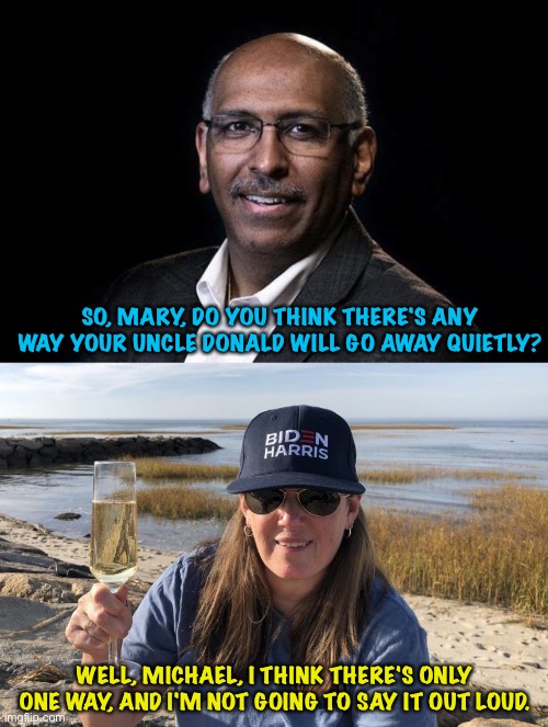 Mike and Mary having a chat | SO, MARY, DO YOU THINK THERE'S ANY WAY YOUR UNCLE DONALD WILL GO AWAY QUIETLY? WELL, MICHAEL, I THINK THERE'S ONLY ONE WAY, AND I'M NOT GOING TO SAY IT OUT LOUD. | image tagged in michael steele,mary trump | made w/ Imgflip meme maker
