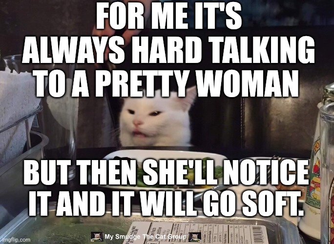 FOR ME IT'S ALWAYS HARD TALKING TO A PRETTY WOMAN; BUT THEN SHE'LL NOTICE IT AND IT WILL GO SOFT. | image tagged in smudge the cat | made w/ Imgflip meme maker