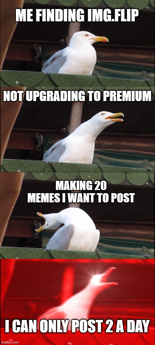 Inhaling Seagull Meme | ME FINDING IMG.FLIP; NOT UPGRADING TO PREMIUM; MAKING 20 MEMES I WANT TO POST; I CAN ONLY POST 2 A DAY | image tagged in memes,inhaling seagull | made w/ Imgflip meme maker