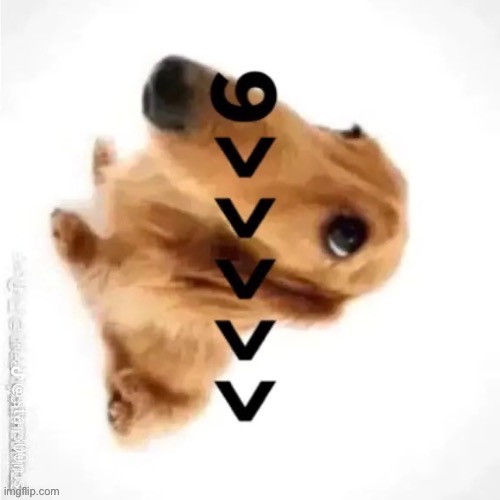 redoing because yall ruined it | made w/ Imgflip meme maker