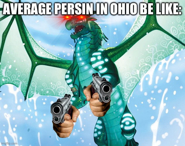 Dragon from Wings of Fire | AVERAGE PERSIN IN OHIO BE LIKE: | image tagged in dragon from wings of fire | made w/ Imgflip meme maker