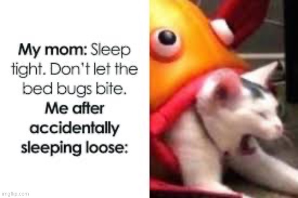 Oh shoot, MOM!!! | image tagged in cat,fishy,bedbugs,mom | made w/ Imgflip meme maker