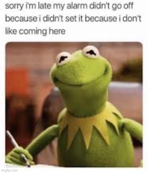 The Truth | image tagged in kermit the frog,school | made w/ Imgflip meme maker