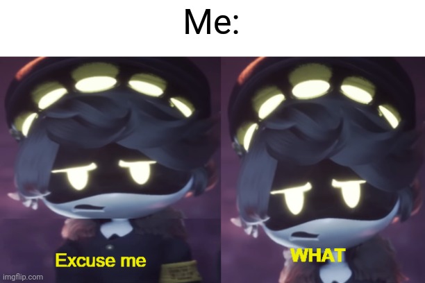 Excuse me WHAT N edition | Me: | image tagged in excuse me what n edition | made w/ Imgflip meme maker