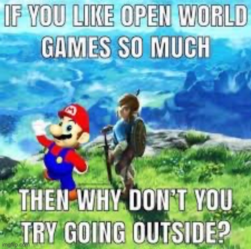 no i will not | image tagged in mario,zelda | made w/ Imgflip meme maker