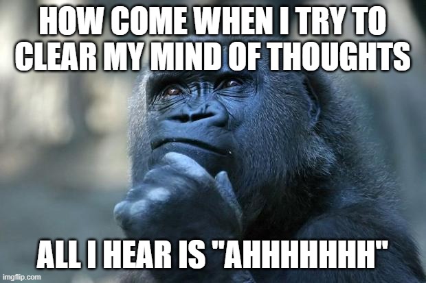 Deep Thoughts | HOW COME WHEN I TRY TO CLEAR MY MIND OF THOUGHTS; ALL I HEAR IS "AHHHHHHH" | image tagged in deep thoughts,memes | made w/ Imgflip meme maker