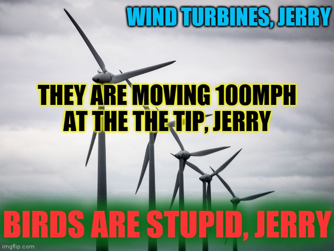 wind Turbines | WIND TURBINES, JERRY THEY ARE MOVING 100MPH AT THE THE TIP, JERRY BIRDS ARE STUPID, JERRY | image tagged in wind turbines | made w/ Imgflip meme maker