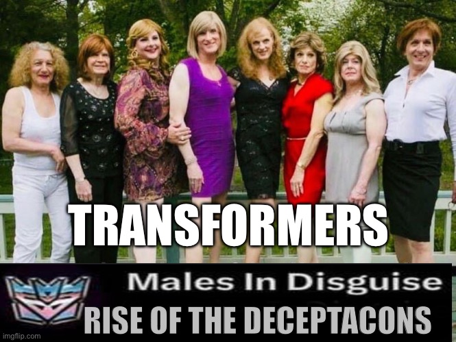 Transformers | TRANSFORMERS; RISE OF THE DECEPTACONS | image tagged in funny | made w/ Imgflip meme maker