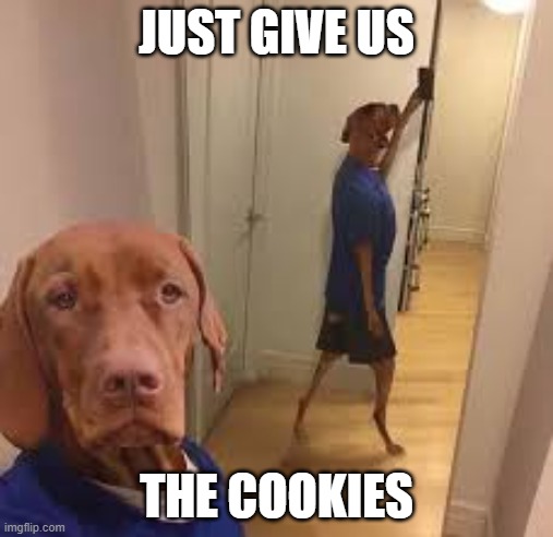 give us the cookies | JUST GIVE US; THE COOKIES | image tagged in bruh moment | made w/ Imgflip meme maker