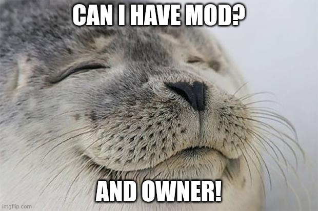 Satisfied Seal | CAN I HAVE MOD? AND OWNER! | image tagged in memes,satisfied seal | made w/ Imgflip meme maker