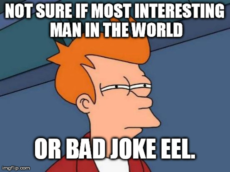 Futurama Fry Meme | NOT SURE IF MOST INTERESTING MAN IN THE WORLD OR BAD JOKE EEL. | image tagged in memes,futurama fry | made w/ Imgflip meme maker