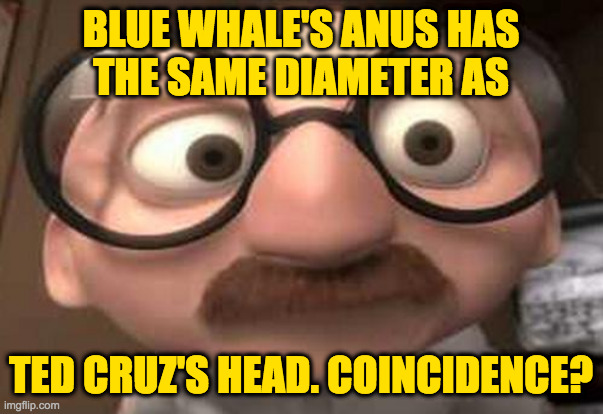 Coincidence?  I think not! | BLUE WHALE'S ANUS HAS
THE SAME DIAMETER AS TED CRUZ'S HEAD. COINCIDENCE? | image tagged in coincidence i think not | made w/ Imgflip meme maker