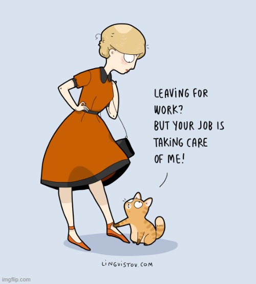 A Cat Lady's Way Of Thinking | image tagged in memes,comics/cartoons,cat lady,work life,cats,one job | made w/ Imgflip meme maker