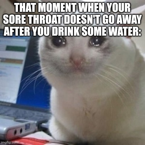 Oh no | THAT MOMENT WHEN YOUR SORE THROAT DOESN'T GO AWAY AFTER YOU DRINK SOME WATER: | image tagged in crying cat,memes,relatable,relatable memes,funny | made w/ Imgflip meme maker