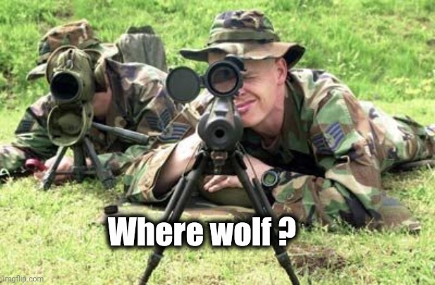 United States Air Force Sniper Team | Where wolf ? | image tagged in united states air force sniper team | made w/ Imgflip meme maker