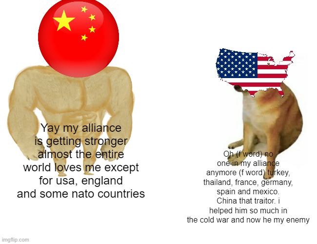 China's alliance vs usa's alliance | Yay my alliance is getting stronger almost the entire world loves me except for usa, england and some nato countries; Oh (f word) no one in my alliance anymore (f word) turkey, thailand, france, germany, spain and mexico. China that traitor. i helped him so much in the cold war and now he my enemy | image tagged in memes,buff doge vs cheems | made w/ Imgflip meme maker