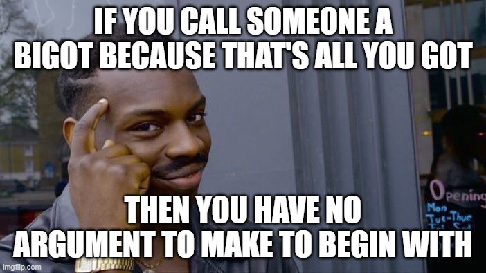 Roll Safe Think About It | IF YOU CALL SOMEONE A BIGOT BECAUSE THAT'S ALL YOU GOT; THEN YOU HAVE NO ARGUMENT TO MAKE TO BEGIN WITH | image tagged in memes,roll safe think about it | made w/ Imgflip meme maker