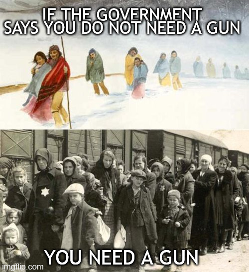 second amendment gun control | IF THE GOVERNMENT SAYS YOU DO NOT NEED A GUN; YOU NEED A GUN | image tagged in government,gun control,second amendment,guns,2024 election | made w/ Imgflip meme maker