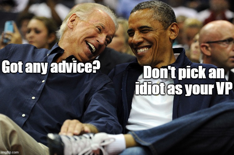 Don't pick an idiot as your VP; Got any advice? | made w/ Imgflip meme maker