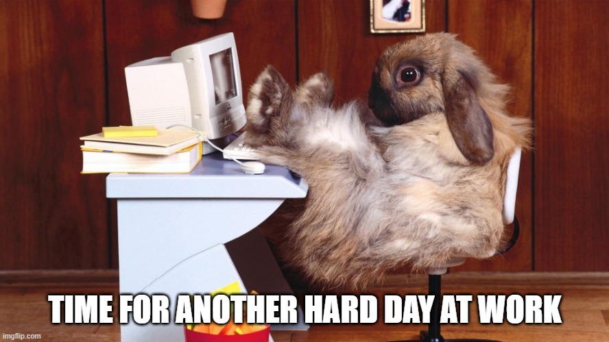 Working Rabbit | TIME FOR ANOTHER HARD DAY AT WORK | image tagged in bunny | made w/ Imgflip meme maker