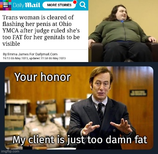 Too damn fat. | Your honor; My client is just too damn fat | image tagged in your honour | made w/ Imgflip meme maker