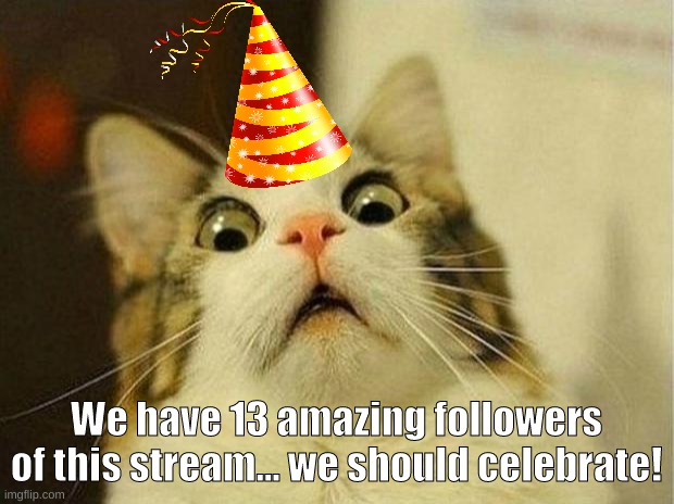 Celebration on it's way! | We have 13 amazing followers of this stream... we should celebrate! | image tagged in memes,scared cat | made w/ Imgflip meme maker