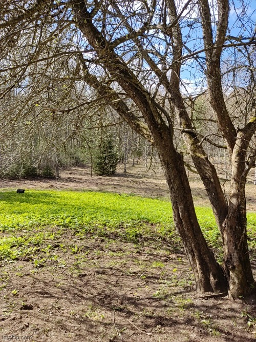 Finally touched some grass | made w/ Imgflip meme maker