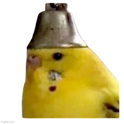 birb | image tagged in birb | made w/ Imgflip meme maker