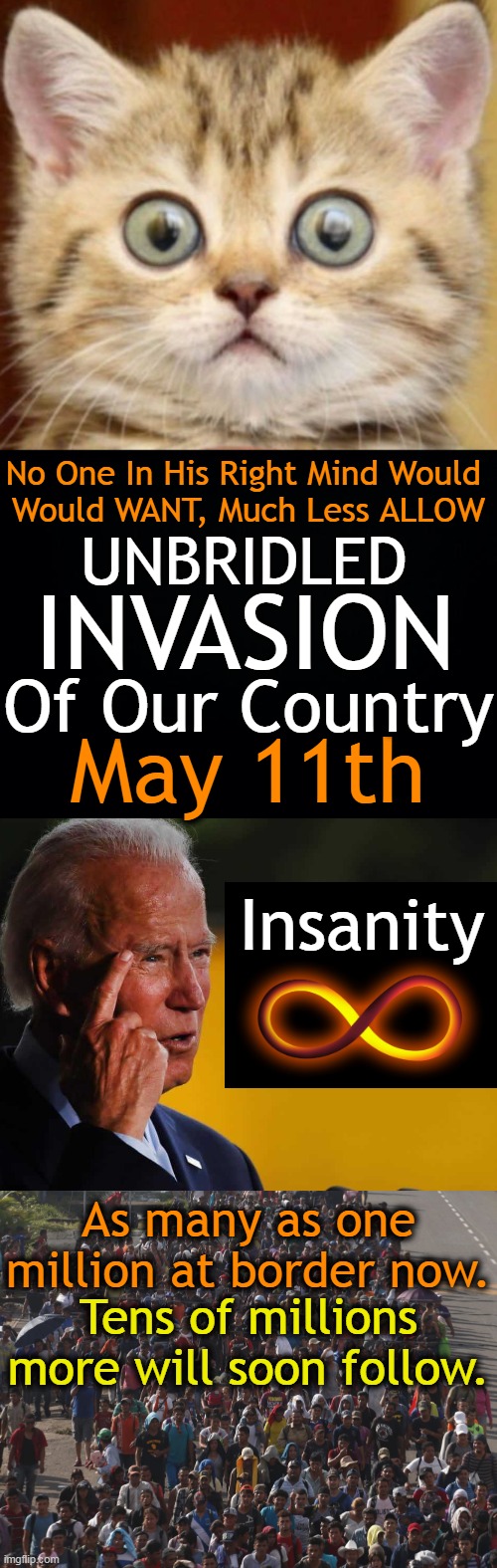 Whiskey Tango Foxtrot? | No One In His Right Mind Would 
Would WANT, Much Less ALLOW; UNBRIDLED; INVASION; Of Our Country; May 11th; Insanity; As many as one million at border now. Tens of millions more will soon follow. | image tagged in politics,open borders,joe biden,chaos,may 11,invasion | made w/ Imgflip meme maker