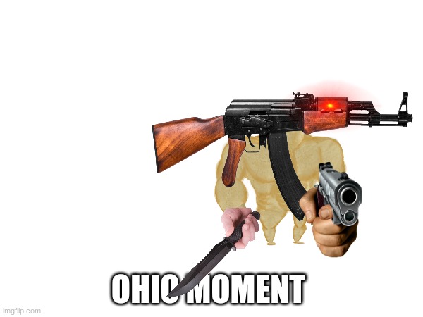 ohio doge | image tagged in blank ohio moment | made w/ Imgflip meme maker