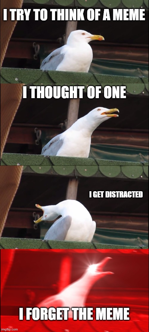 i forgor | I TRY TO THINK OF A MEME; I THOUGHT OF ONE; I GET DISTRACTED; I FORGET THE MEME | image tagged in memes,inhaling seagull | made w/ Imgflip meme maker