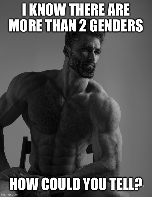 Giga Chad | I KNOW THERE ARE MORE THAN 2 GENDERS HOW COULD YOU TELL? | image tagged in giga chad | made w/ Imgflip meme maker